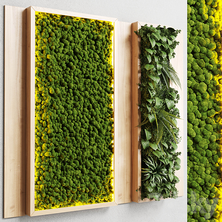 wall garden and vertical moss in wooden frame 22 3DS Max Model - thumbnail 1