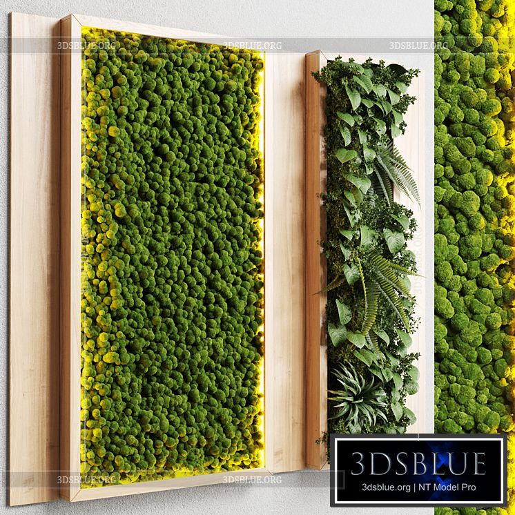 wall garden and vertical moss in wooden frame 22 3DS Max - thumbnail 3