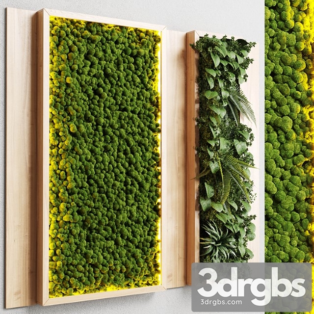 Wall garden and vertical moss in wooden frame 22 - thumbnail 1