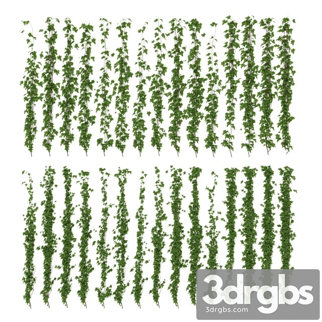 Wall Of Ivy Leaves 3dsmax Download - thumbnail 1