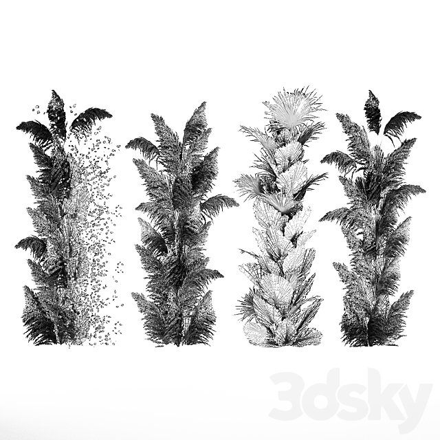 Wedding decorations from columns of dried flowers and pampas grass Cortaderia moonflower dry palm branch. Bouquet 289. 3DS Max Model - thumbnail 7