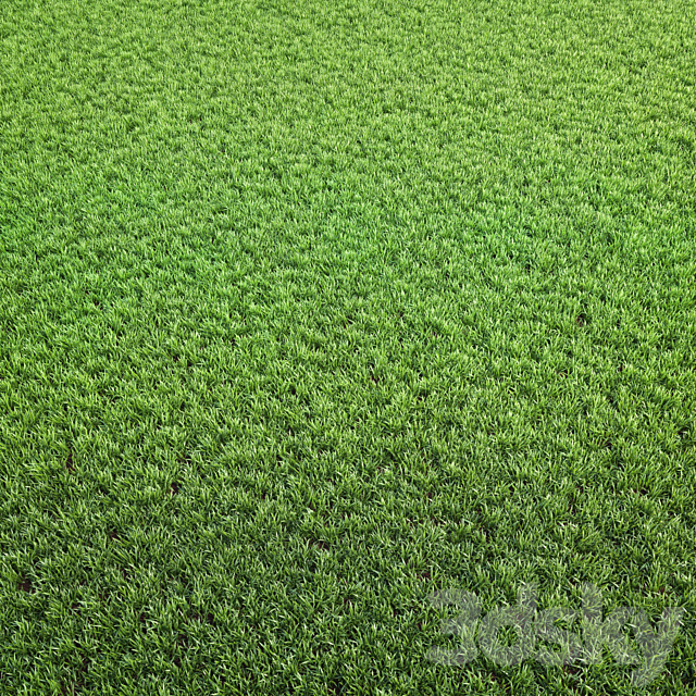 Arch_grass 02 3DS Max Model - thumbnail 2