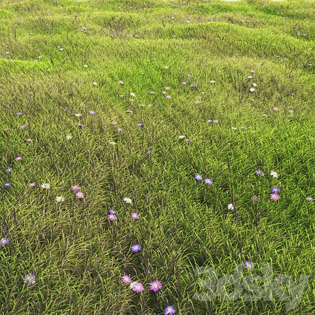 arch_grass 05 3ds Max - thumbnail 1