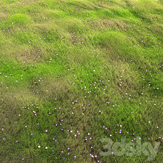 arch_grass 05 3ds Max - thumbnail 2