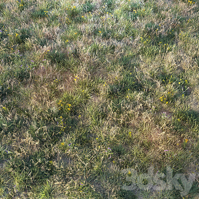 Autumn grass 3ds Max - thumbnail 1