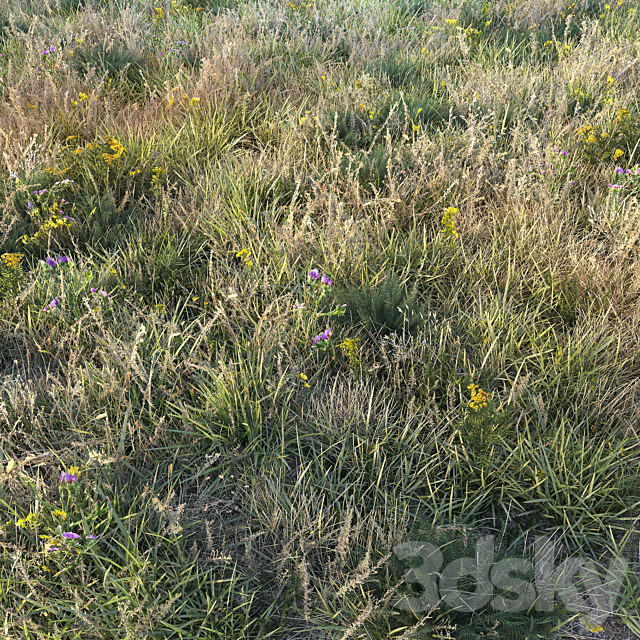 Autumn grass 3ds Max - thumbnail 2