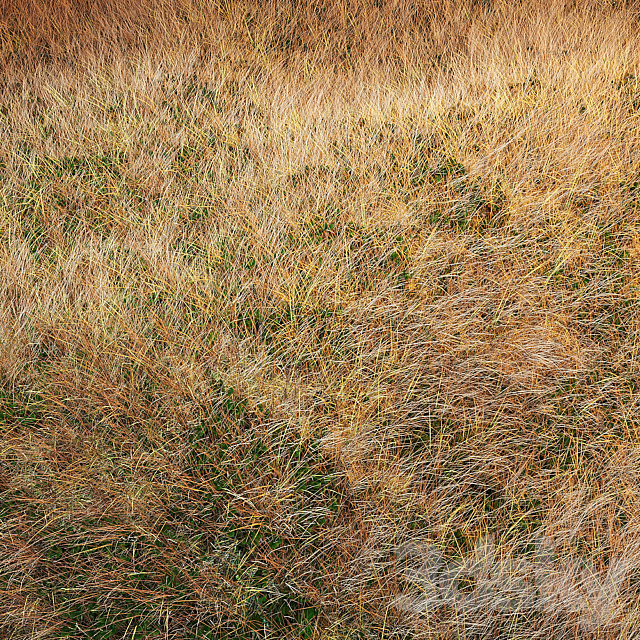 Autumn grass 3ds Max - thumbnail 1