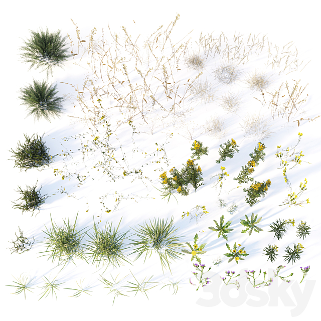 Autumn grass 3DS Max Model - thumbnail 4