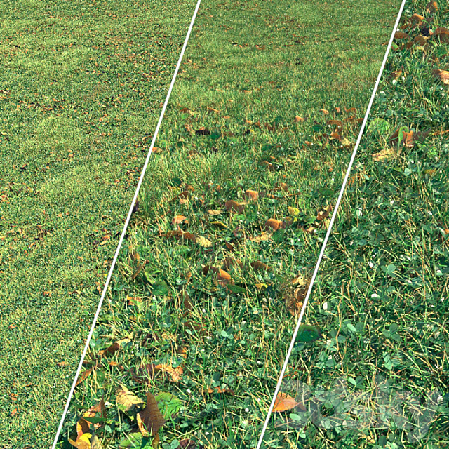 Autumn grass 3dsMax Model - thumbnail 1