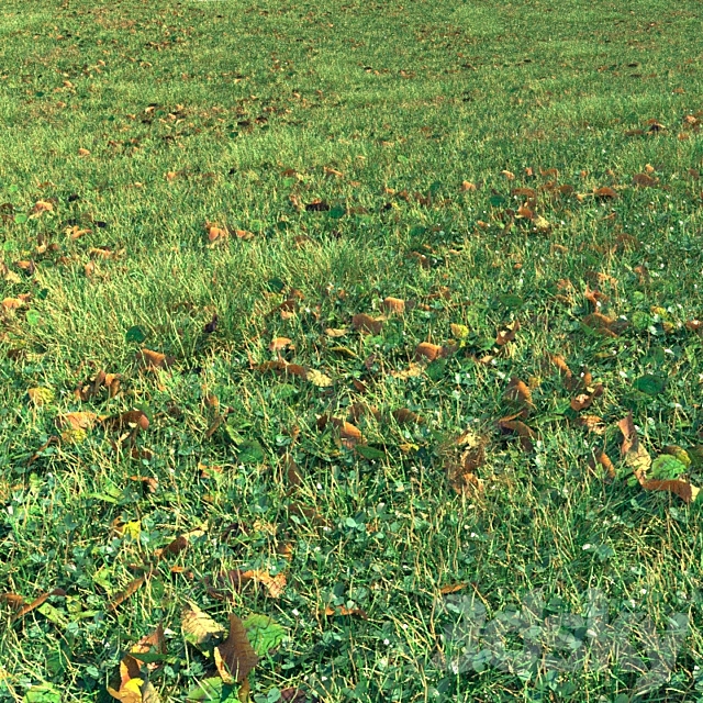 Autumn grass 3dsMax Model - thumbnail 2