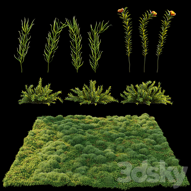 Blooming moss 2 3DS Max Model - thumbnail 4