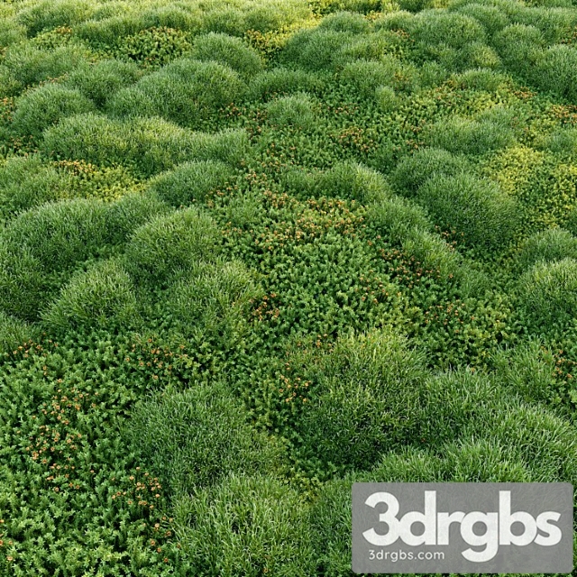 Blooming Moss 2 3dsmax Download - thumbnail 1
