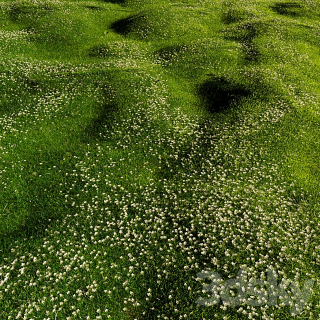 Bryozo lawn 3DS Max Model - thumbnail 2