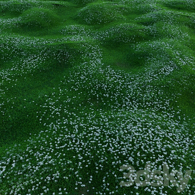 Bryozo lawn 3DS Max Model - thumbnail 3