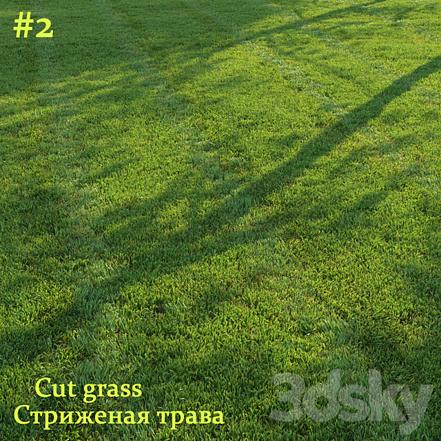 Cut grass #2 3ds Max - thumbnail 1