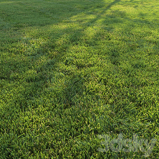 Cut grass #2 3ds Max - thumbnail 2