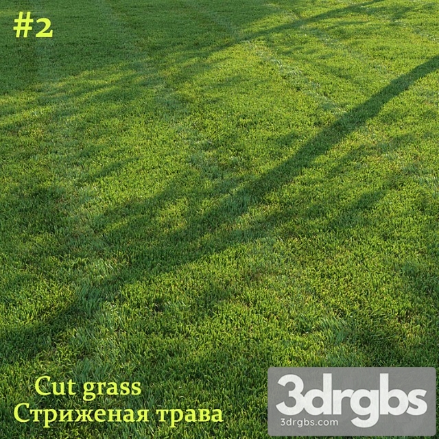 Cut grass - thumbnail 1