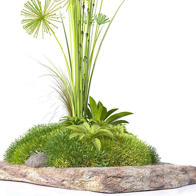 Decorative plants on a stone 3DS Max Model - thumbnail 2