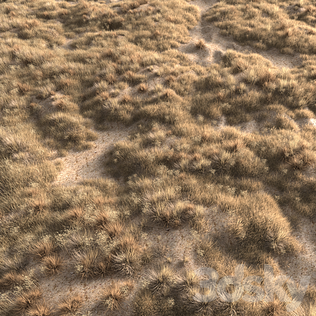 Dried grass 3DS Max Model - thumbnail 2