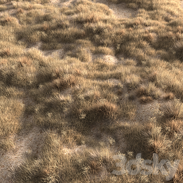 Dried grass 3DS Max Model - thumbnail 3