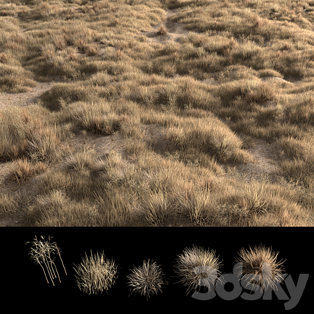 Dried grass 3DS Max Model - thumbnail 4