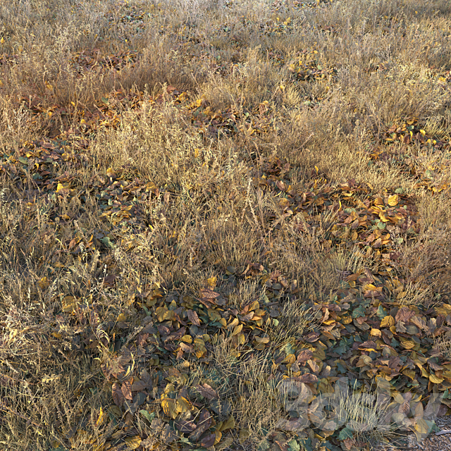 Dry autumn grass 3DS Max Model - thumbnail 2