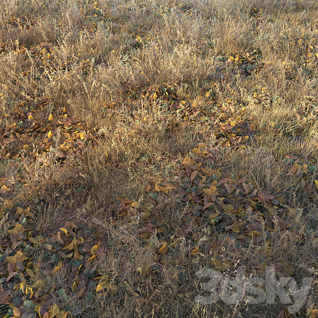 Dry autumn grass 3DS Max Model - thumbnail 3