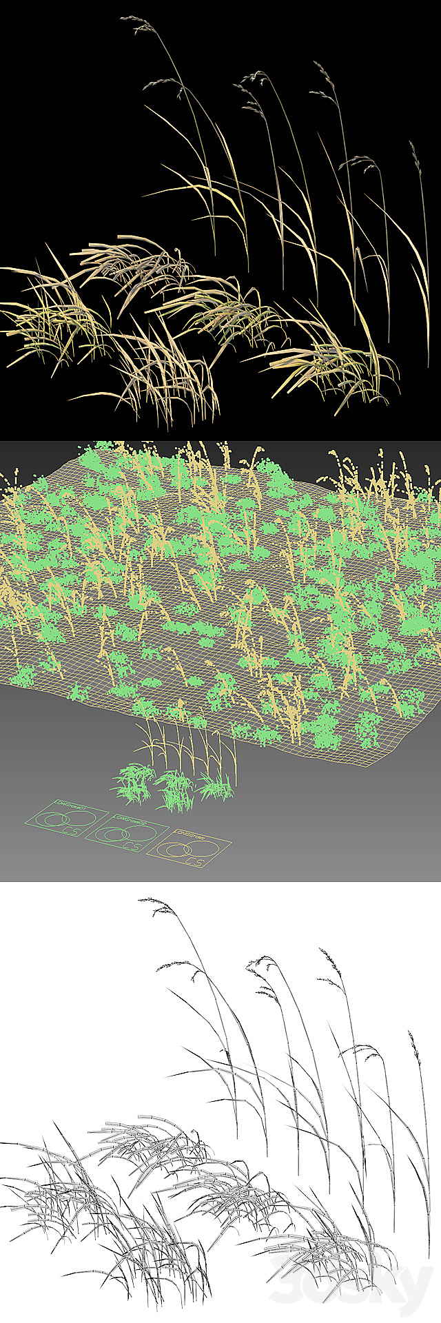 Dry grass 3DSMax File - thumbnail 3