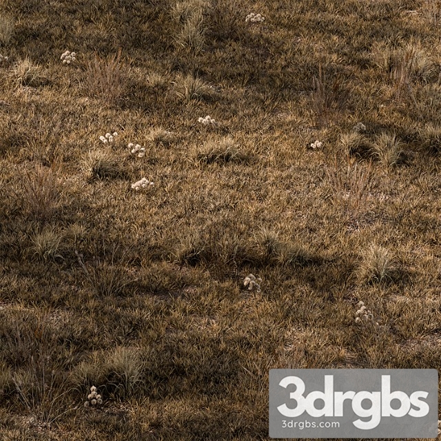 Dry grass set 16 - thumbnail 1