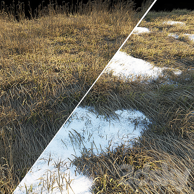 Dry grass | Thaw pollen 3DS Max Model - thumbnail 2