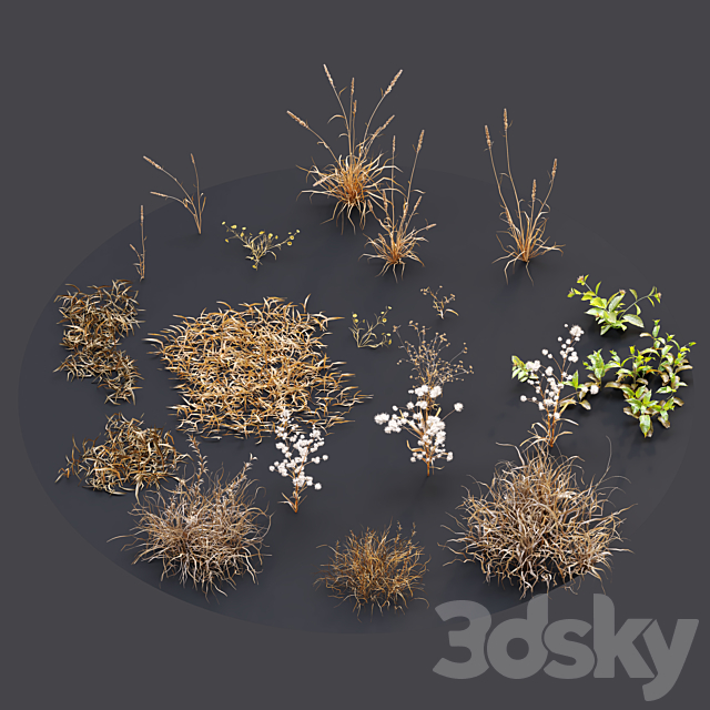 Dry meadow 3DS Max Model - thumbnail 4