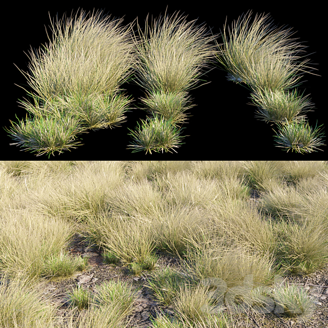 Eskdale grass 3DS Max Model - thumbnail 2