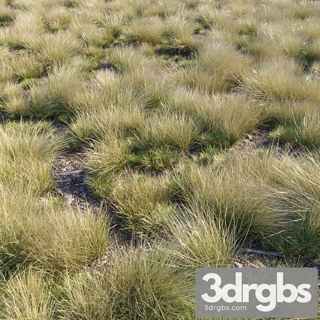 Eskdale grass - thumbnail 1