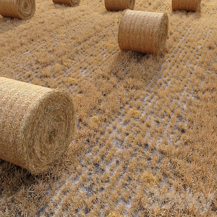 Farm field with hay bale 3DS Max - thumbnail 1