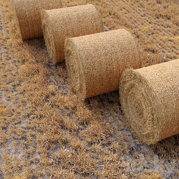 Farm field with hay bale 3DS Max - thumbnail 2