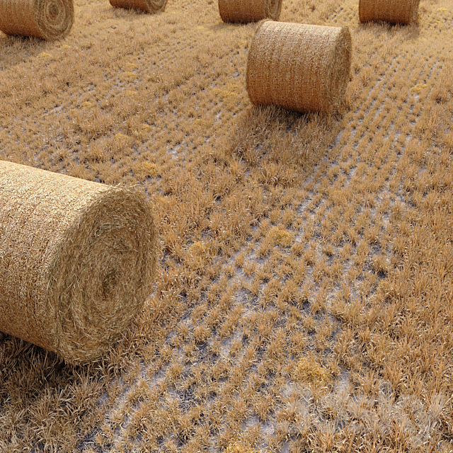 Farm field with hay bale 3DSMax File - thumbnail 1