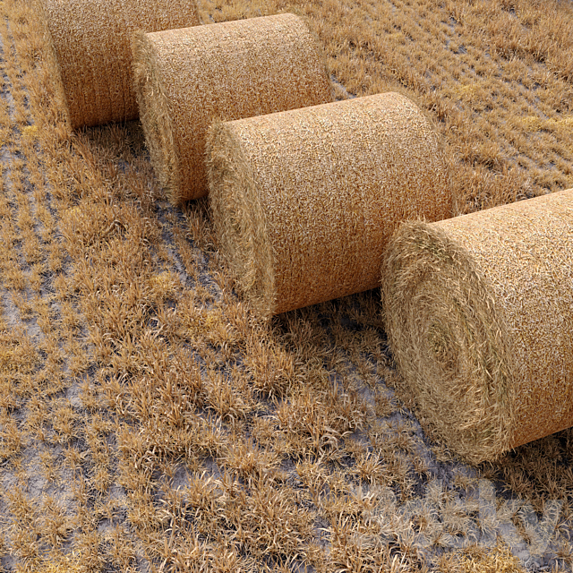Farm field with hay bale 3DSMax File - thumbnail 2