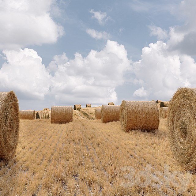Farm field with hay bale 3DSMax File - thumbnail 3