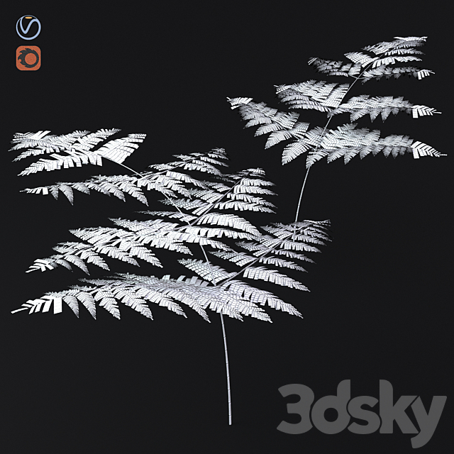 Fern Common Orlyak 3DS Max Model - thumbnail 3