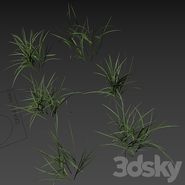 Field grass 02 3ds Max - thumbnail 3