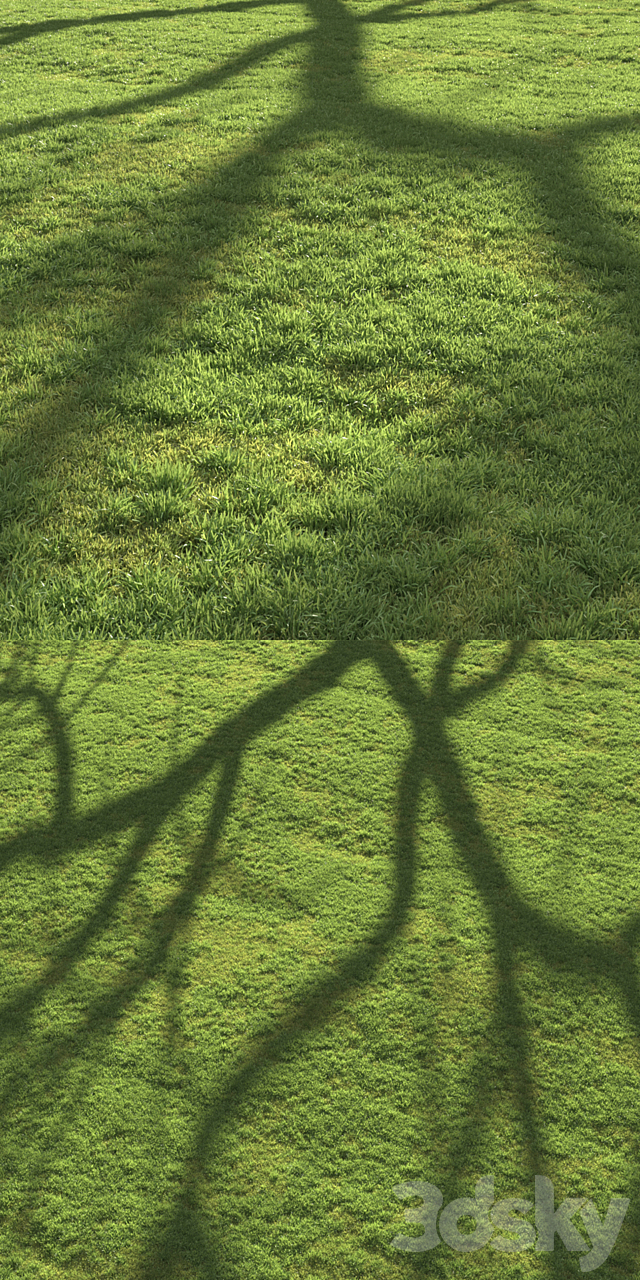 Flat grass 3DS Max Model - thumbnail 3