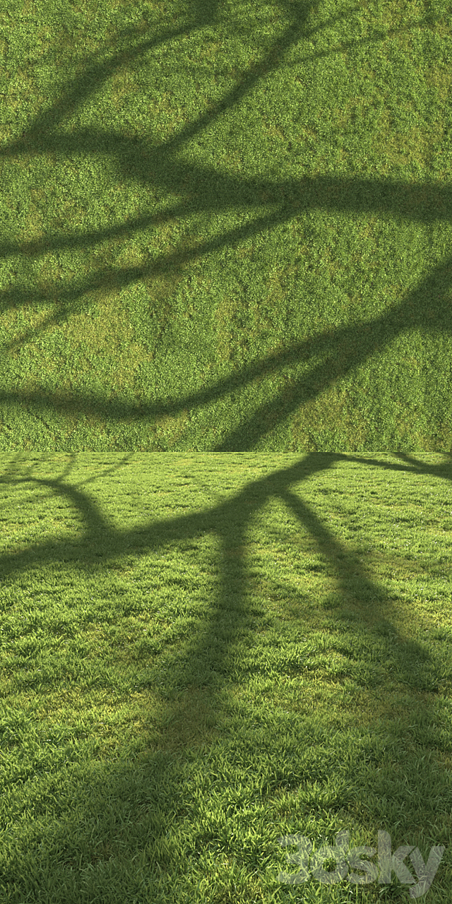 Flat grass 3DS Max Model - thumbnail 4