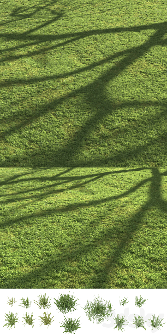 Flat grass 3DS Max Model - thumbnail 5