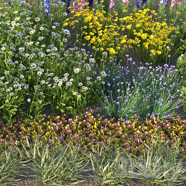 Flower garden 2 3DS Max Model - thumbnail 3