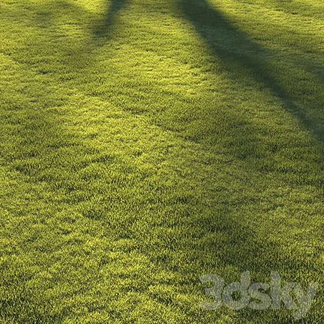 Football pitch lawn 3DS Max Model - thumbnail 2