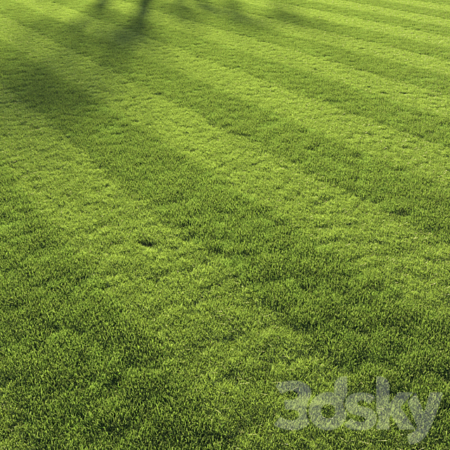 Football pitch lawn 3DS Max Model - thumbnail 3