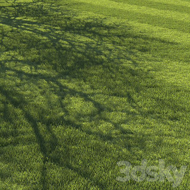 Football pitch lawn 3DS Max Model - thumbnail 4