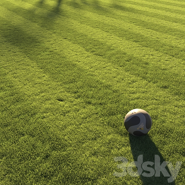 Football pitch lawn 3DS Max Model - thumbnail 5