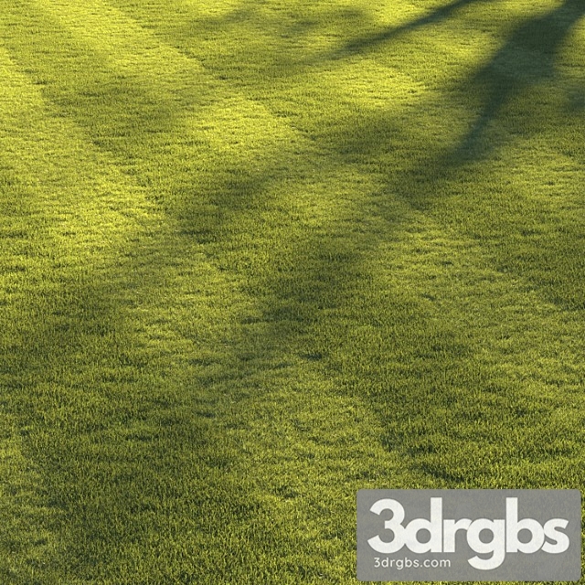 Football pitch lawn - thumbnail 1