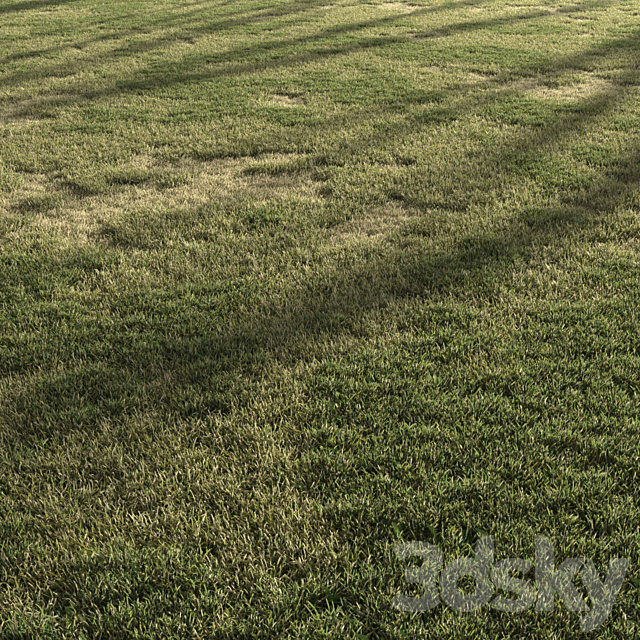 Forest Grass 3 3DS Max Model - thumbnail 2